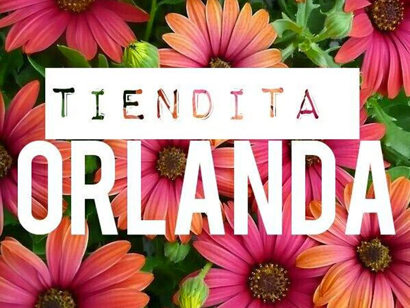 LA TIENDITA DE ORLANDA
