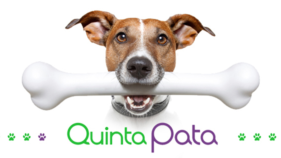QUINTA PATA - TIENDA DE MASCOTAS QUINTA PATA - TIENDA DE MASCOTAS